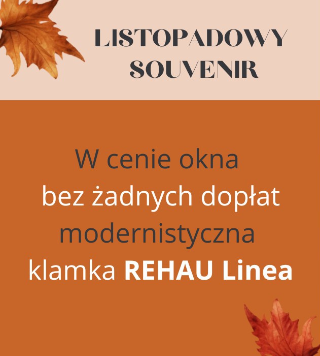 listopadowy_souvenir-bg-1